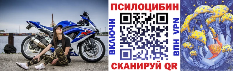 Купить где  Барабинск  Псилоцибиновые грибы Magic Shrooms 